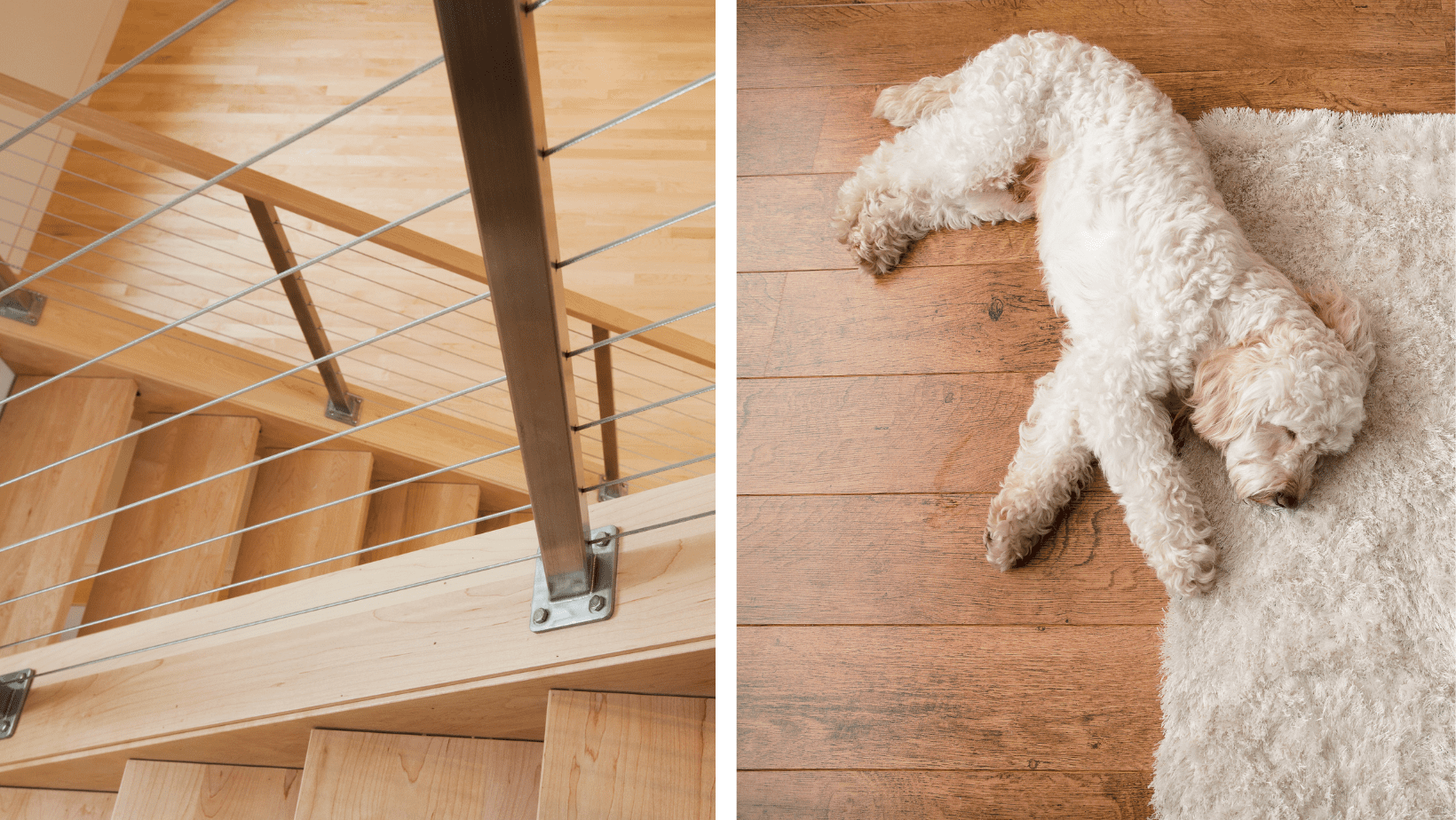 Featured image for “How Do You Dog Proof Wooden Stairs?”