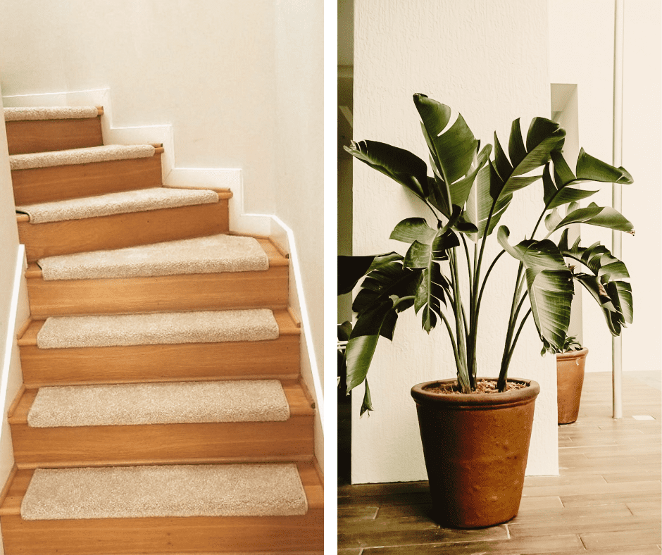 Featured image for “Traditional Custom Stair Treads”