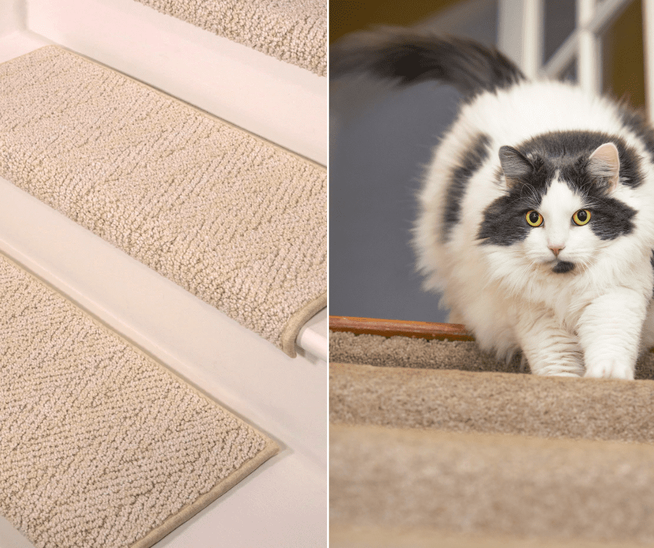 Featured image for “Stair Protectors for Cats”