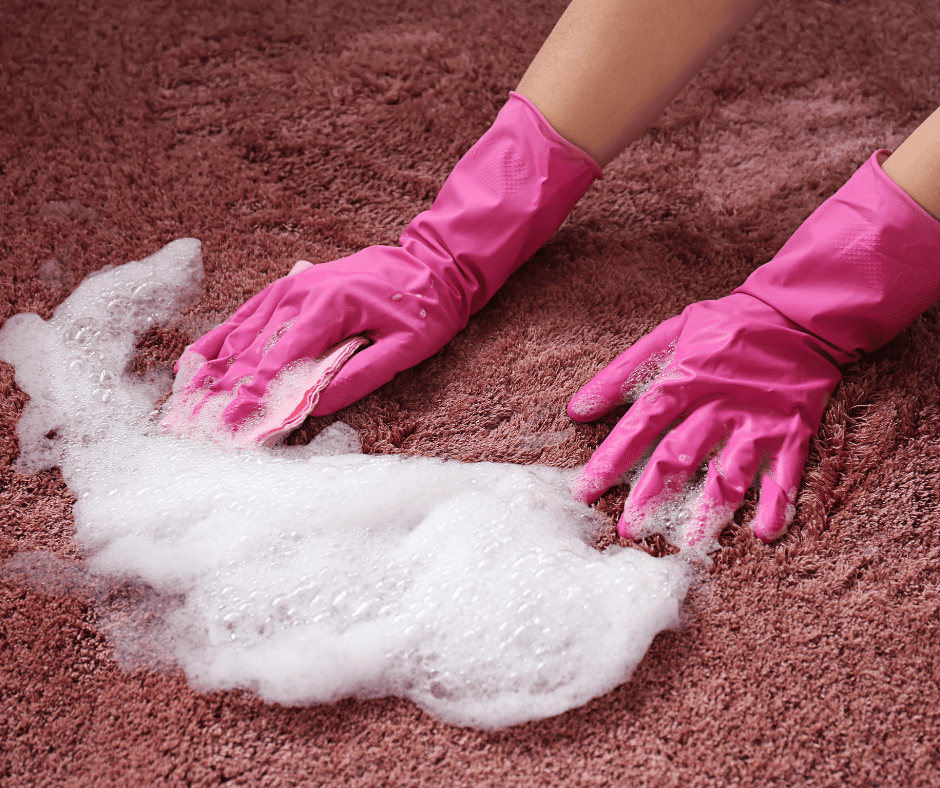 Featured image for “How to Disinfect Carpet Floor”