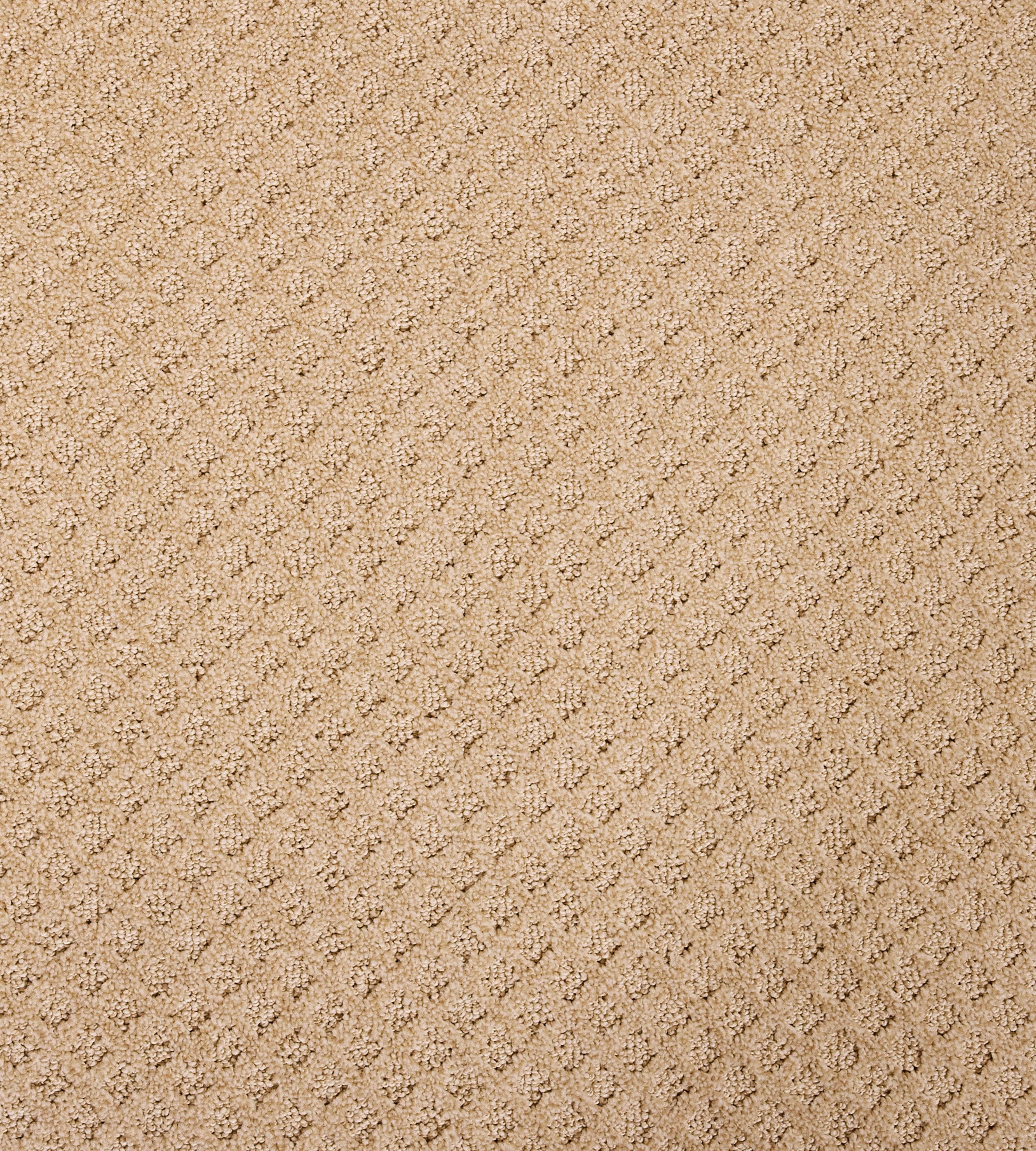 Bayside Charm - Sample